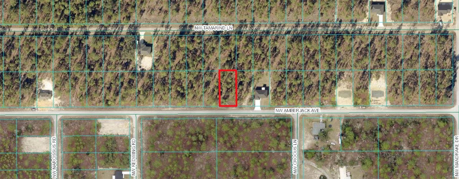 00 NW AMBERJACK AVE, DUNNELLON, FL, 34431
