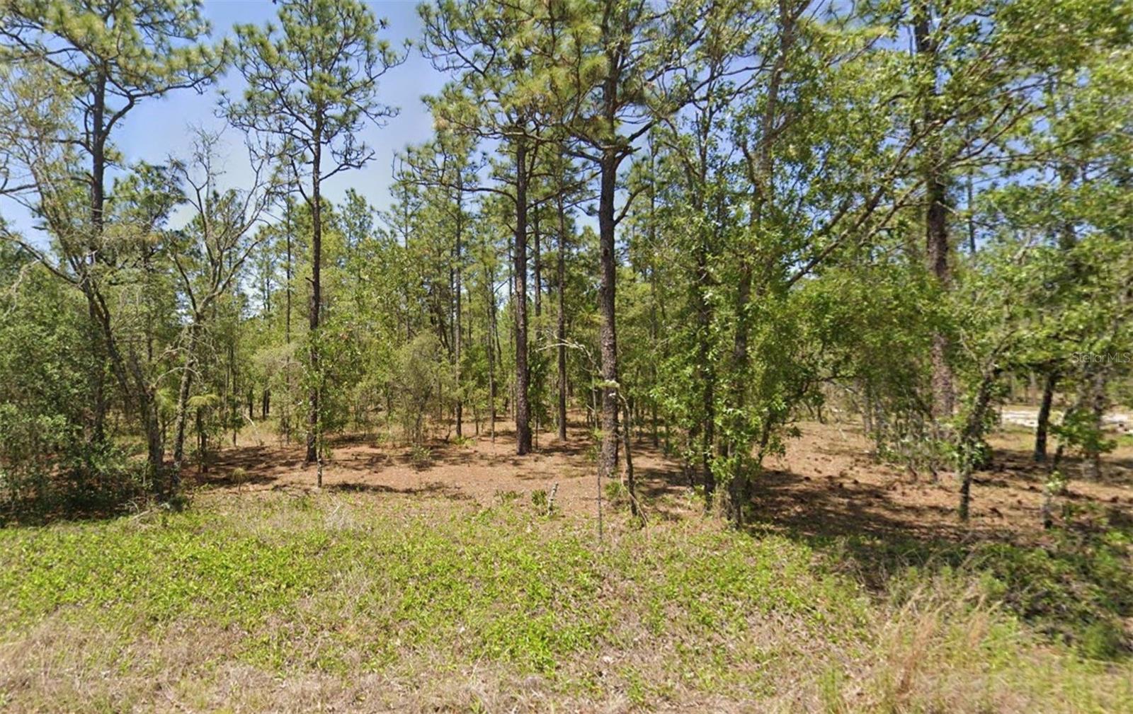 00 NW AMBERJACK AVE, DUNNELLON, FL, 34431