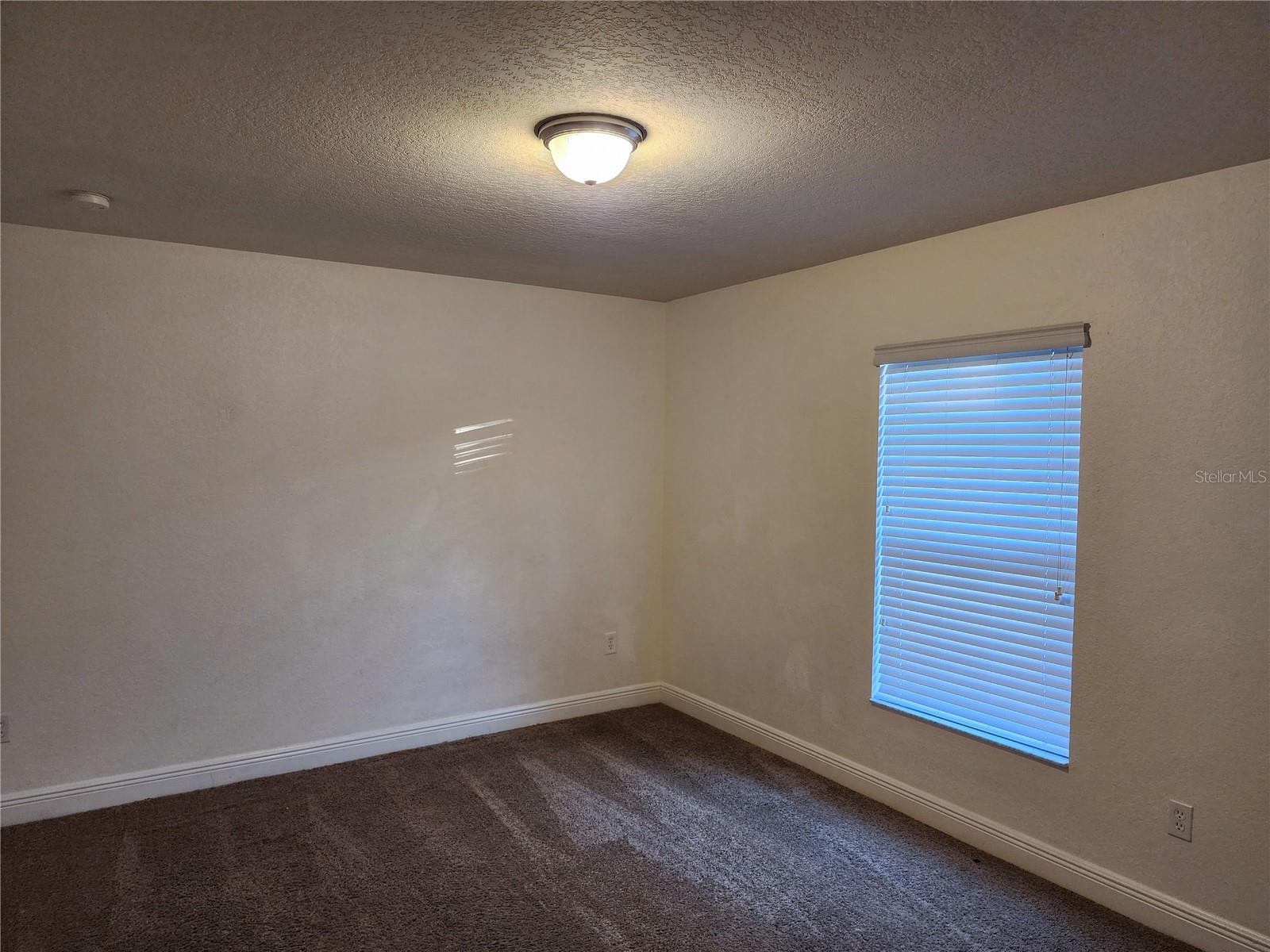 11008 GOLDENROD FERN DR, RIVERVIEW, FL, 33569