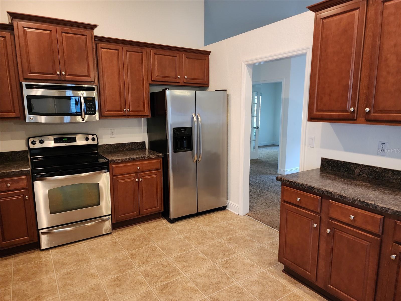 11008 GOLDENROD FERN DR, RIVERVIEW, FL, 33569