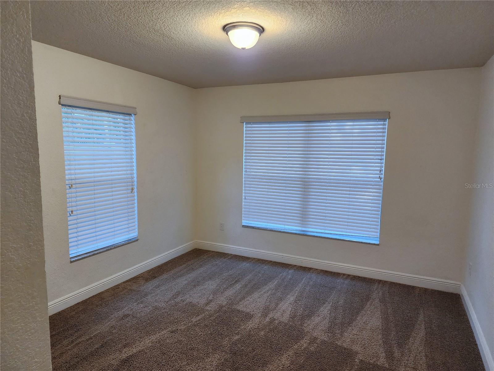 11008 GOLDENROD FERN DR, RIVERVIEW, FL, 33569