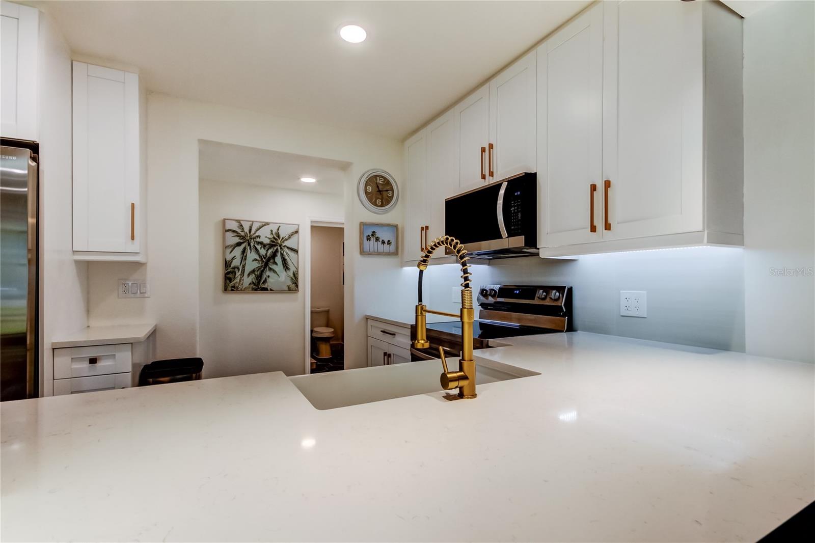 2488 DEL RIO WAY, DUNEDIN, FL, 34698