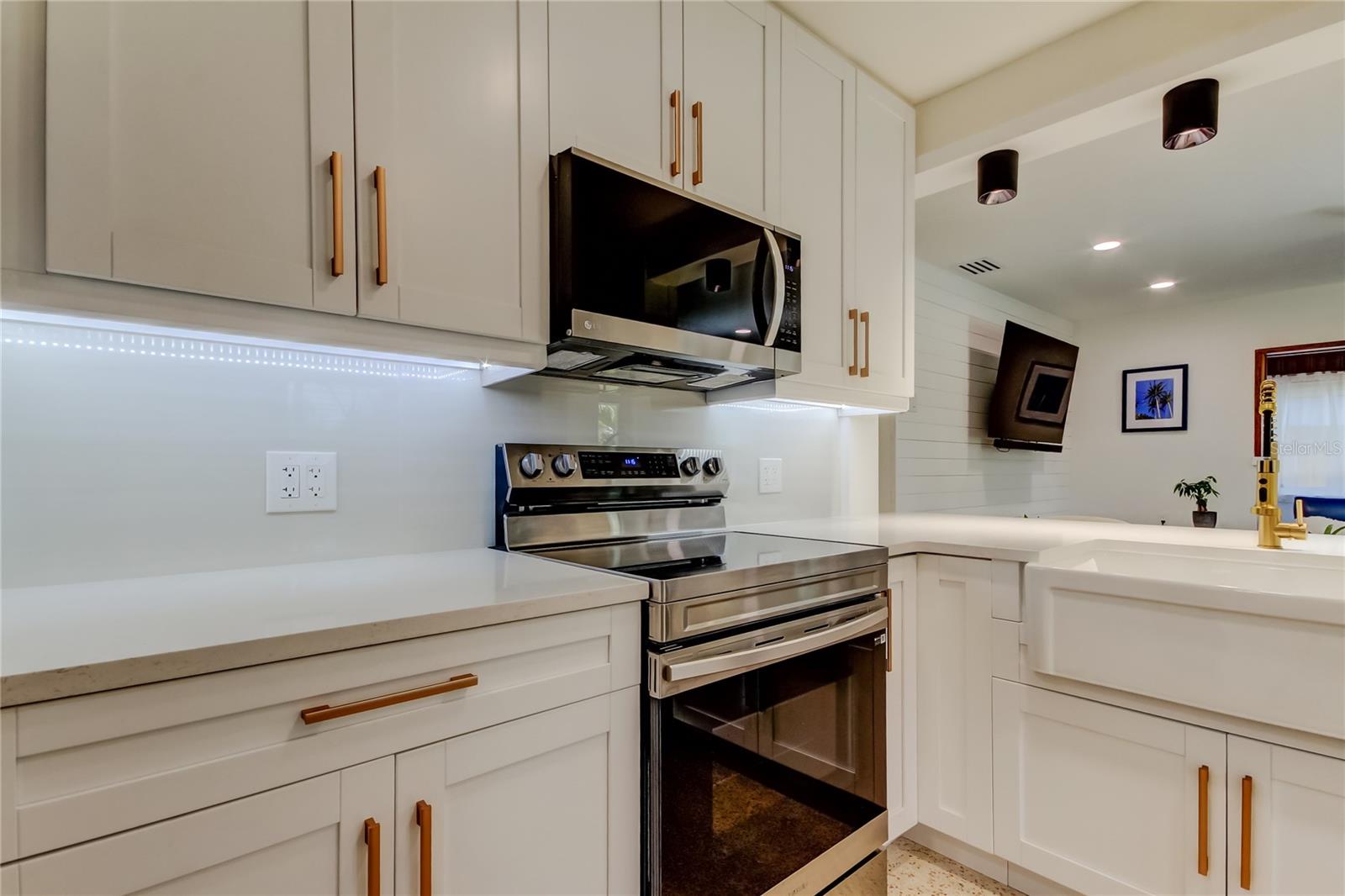 2488 DEL RIO WAY, DUNEDIN, FL, 34698