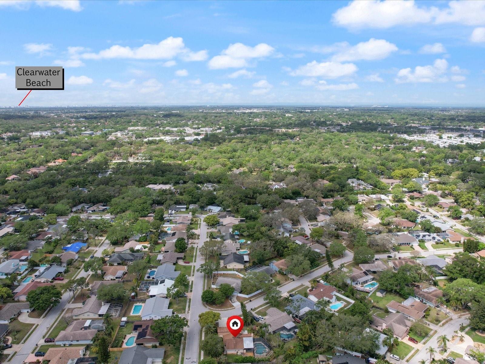 65 HARBOR WOODS CIR, SAFETY HARBOR, FL, 34695