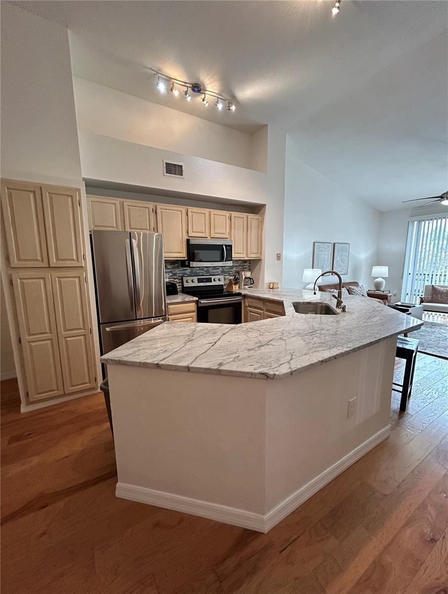 905 NORMANDY TRACE RD, TAMPA, FL, 33602