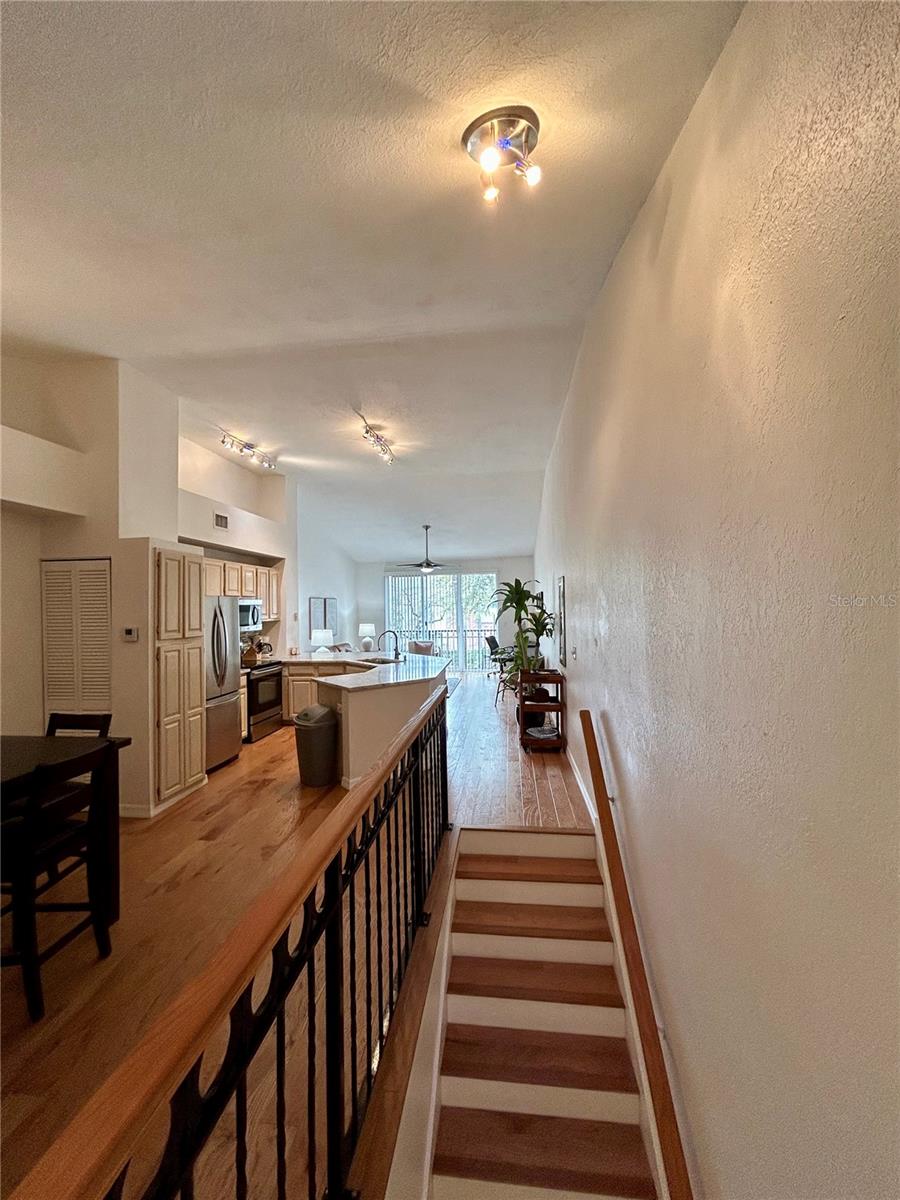 905 NORMANDY TRACE RD, TAMPA, FL, 33602