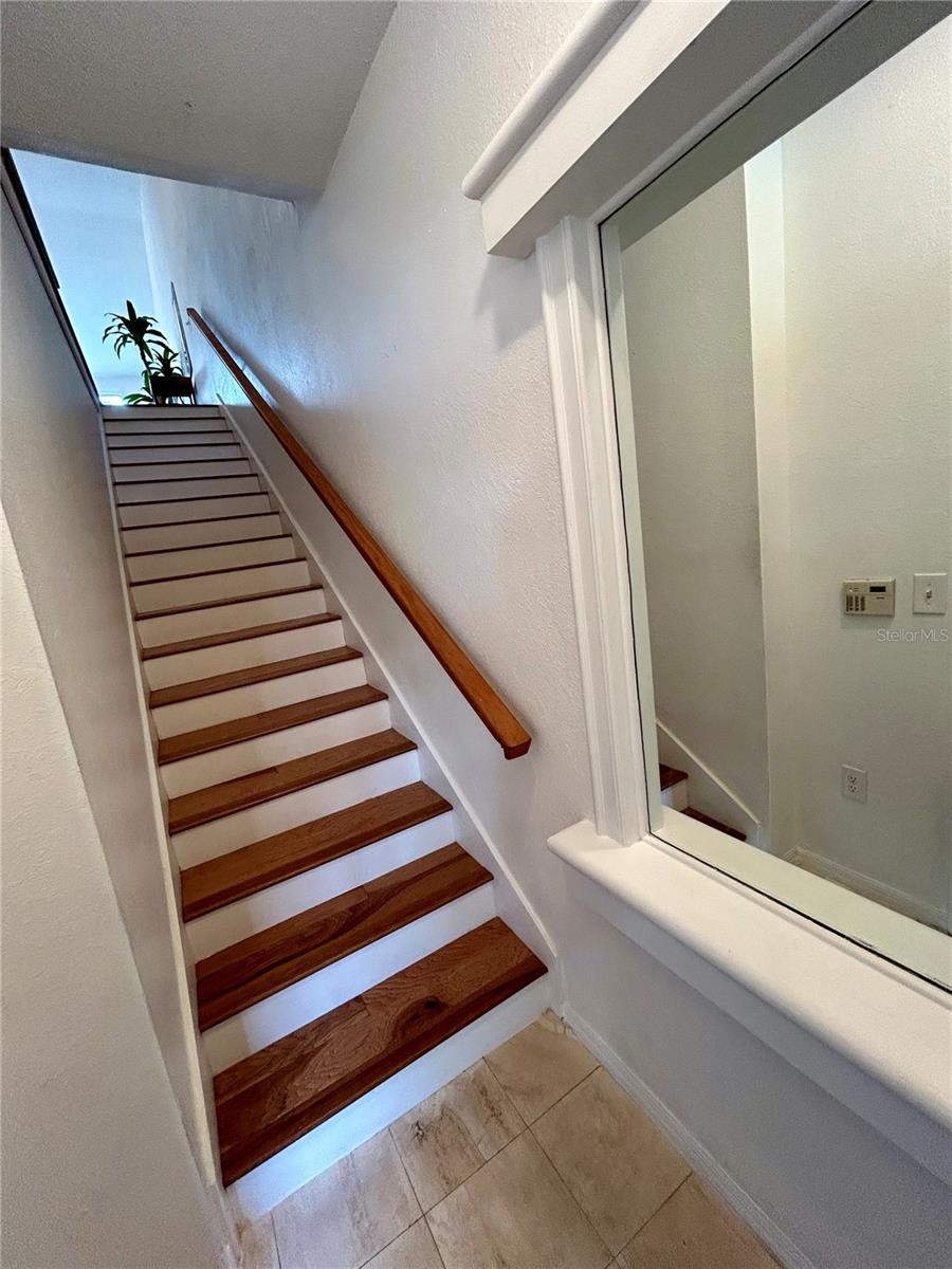905 NORMANDY TRACE RD, TAMPA, FL, 33602