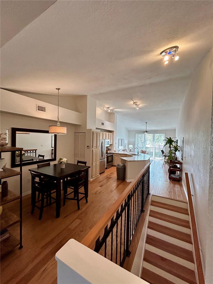 905 NORMANDY TRACE RD, TAMPA, FL, 33602