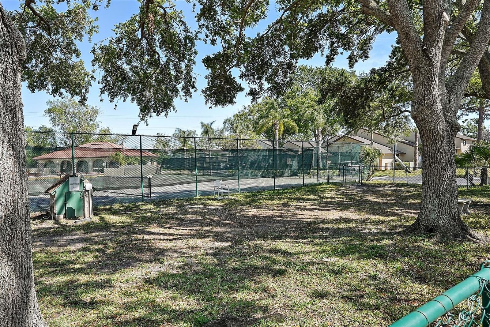 6262 142ND AVE N #1106, CLEARWATER, FL, 33760