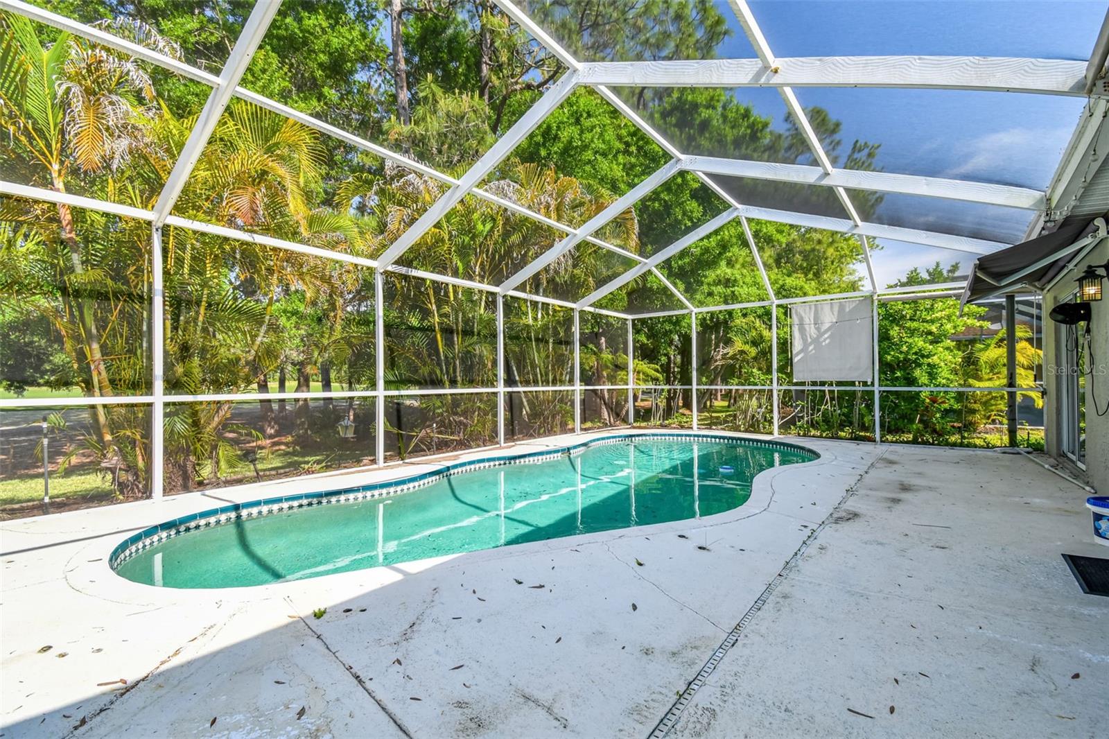 12929 ROYAL GEORGE AVE, ODESSA, FL, 33556
