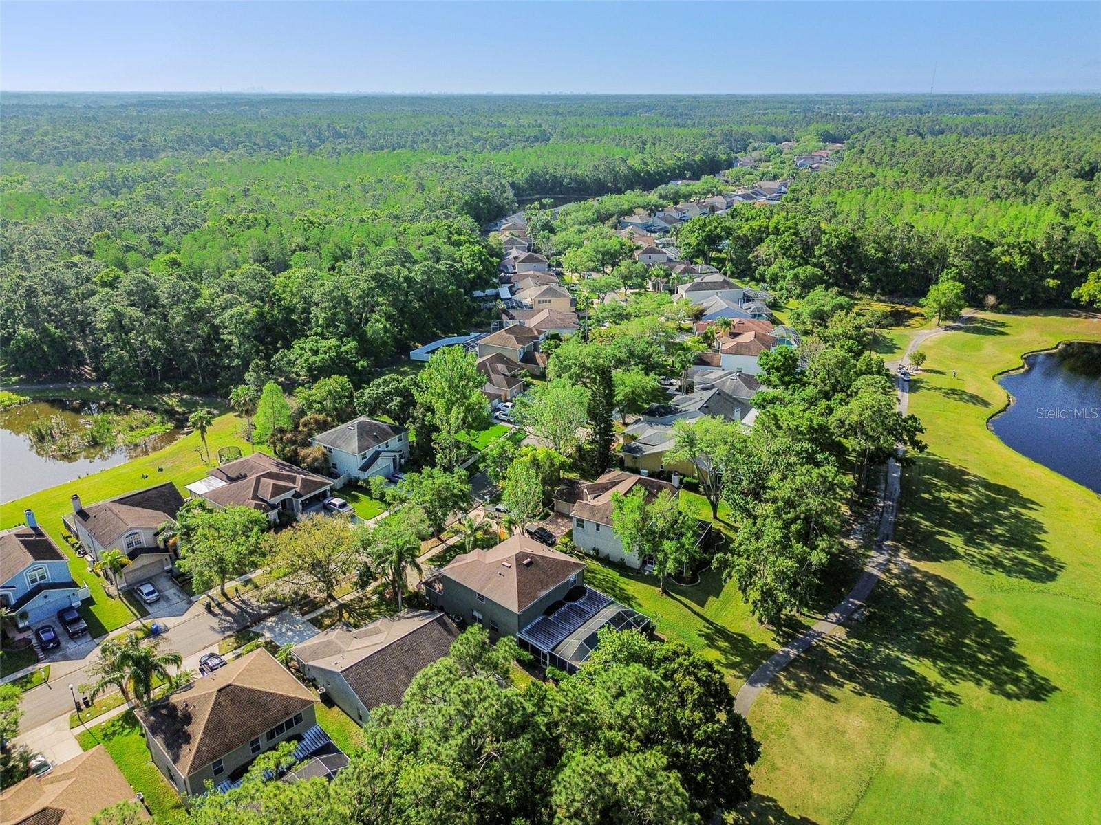 12929 ROYAL GEORGE AVE, ODESSA, FL, 33556