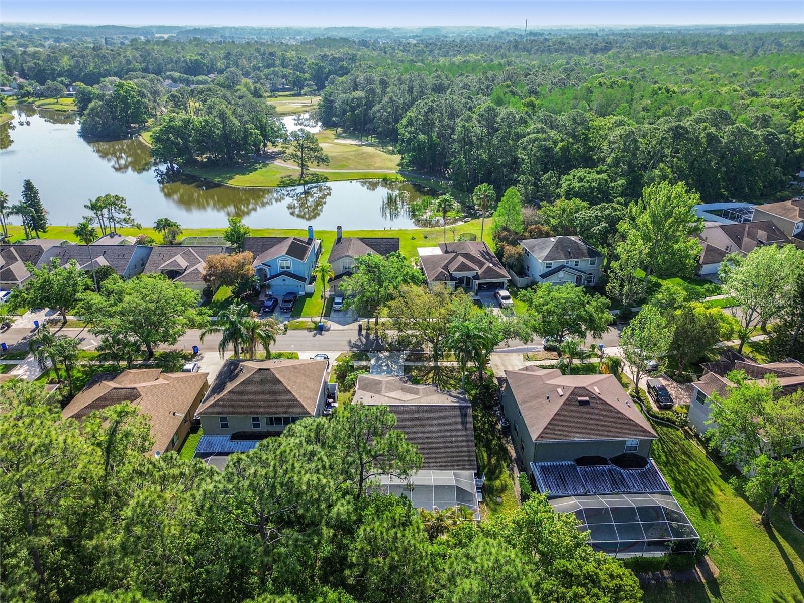 12929 ROYAL GEORGE AVE, ODESSA, FL, 33556