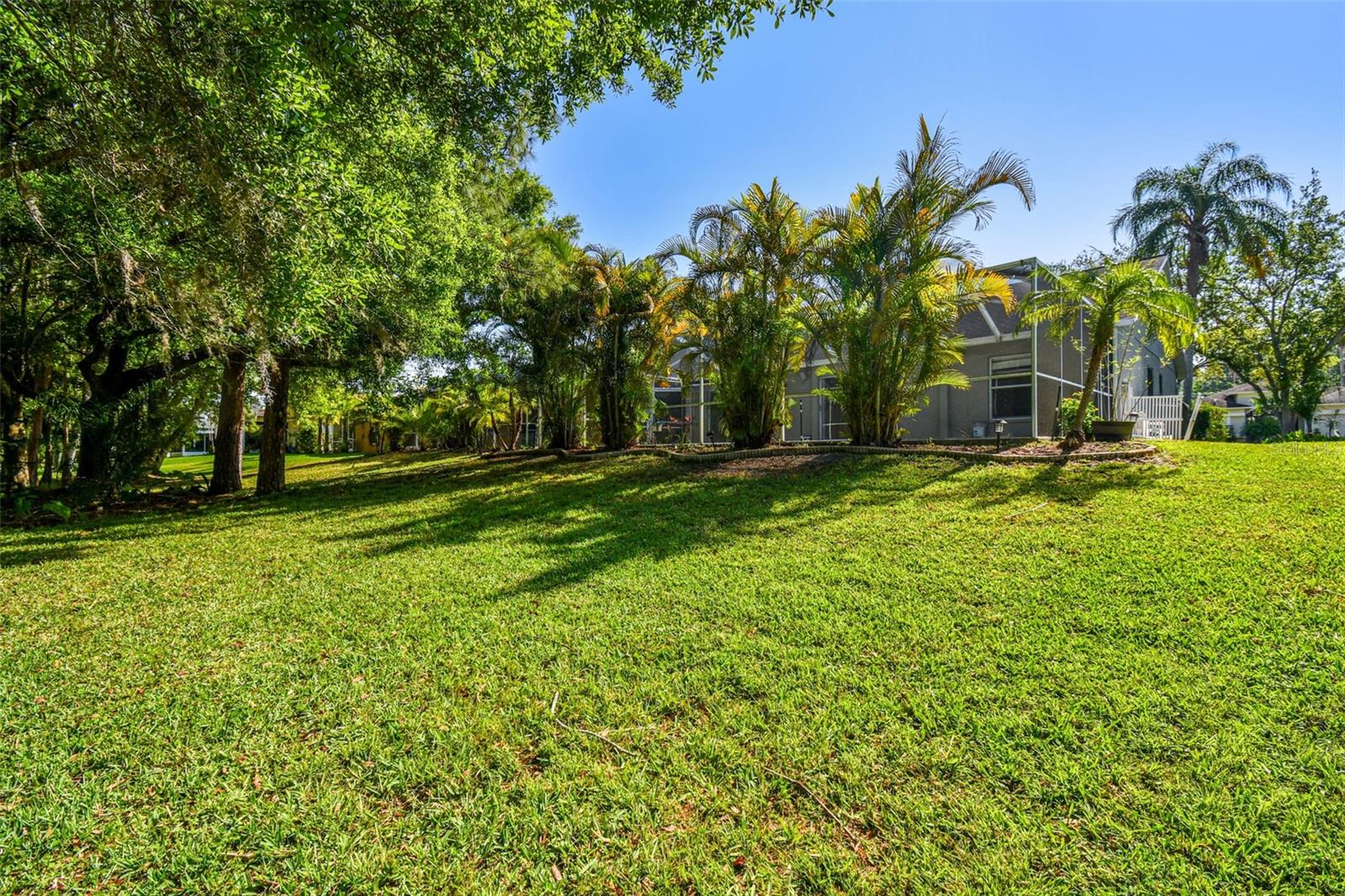 12929 ROYAL GEORGE AVE, ODESSA, FL, 33556