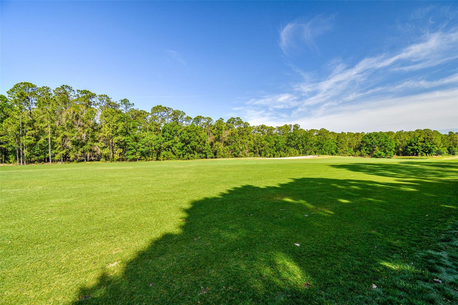 12929 ROYAL GEORGE AVE, ODESSA, FL, 33556