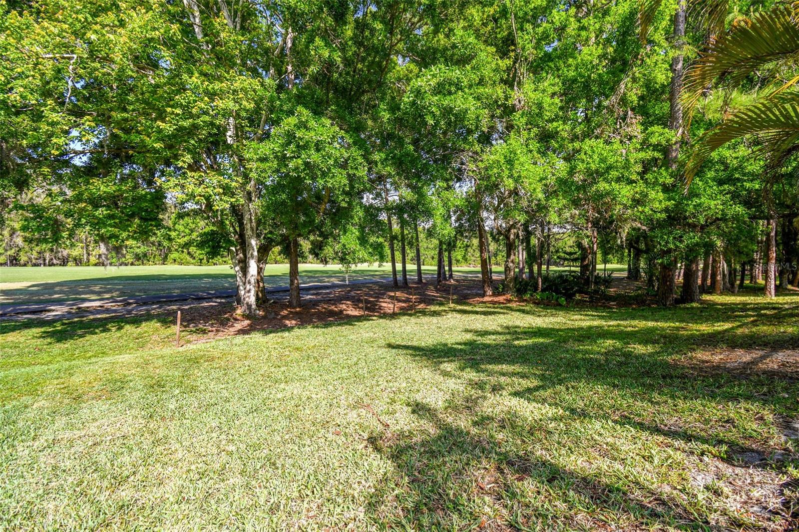 12929 ROYAL GEORGE AVE, ODESSA, FL, 33556