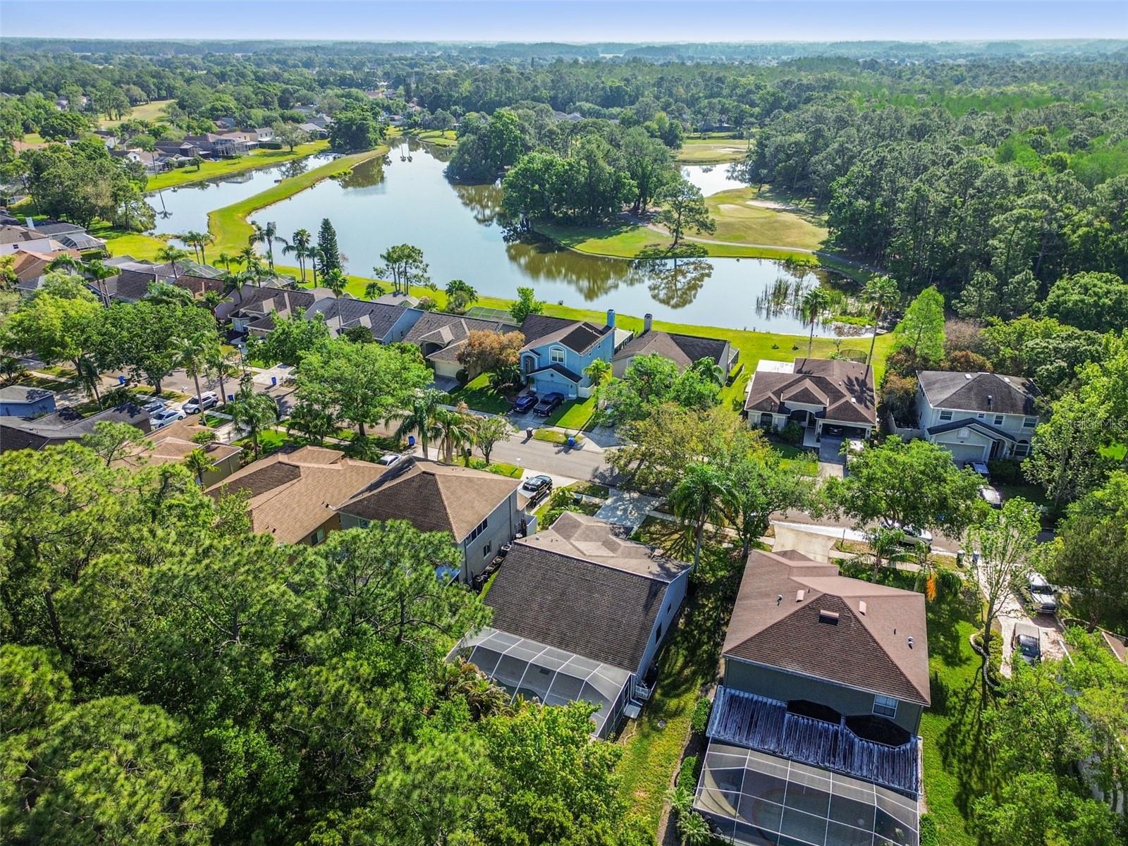 12929 ROYAL GEORGE AVE, ODESSA, FL, 33556