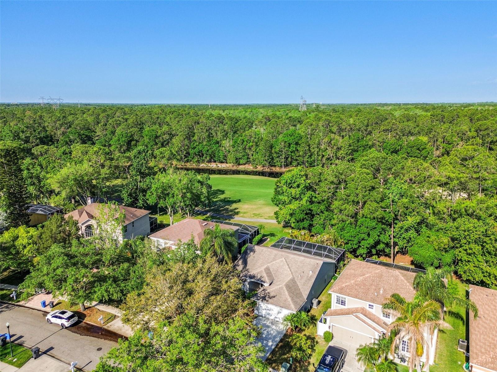 12929 ROYAL GEORGE AVE, ODESSA, FL, 33556