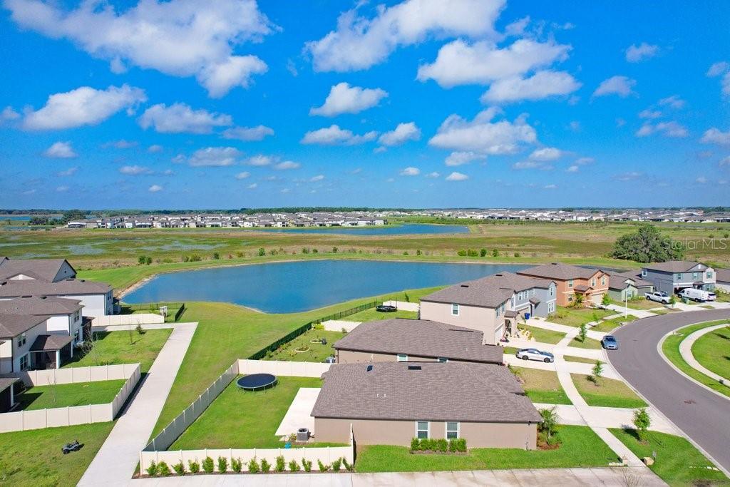 9617 BRANCHING SHIP TRCE, WESLEY CHAPEL, FL, 33545