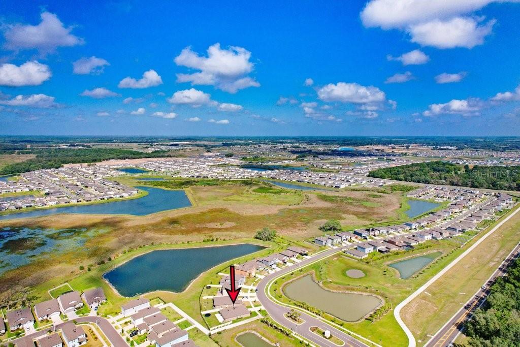 9617 BRANCHING SHIP TRCE, WESLEY CHAPEL, FL, 33545