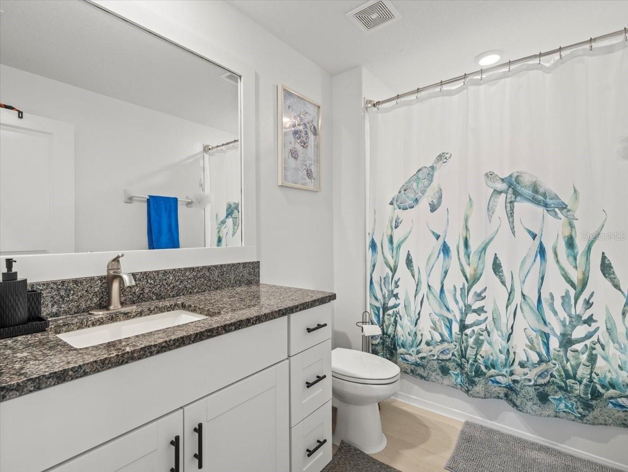 9617 BRANCHING SHIP TRCE, WESLEY CHAPEL, FL, 33545
