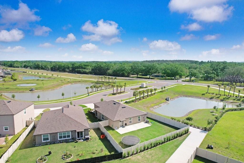 9617 BRANCHING SHIP TRCE, WESLEY CHAPEL, FL, 33545