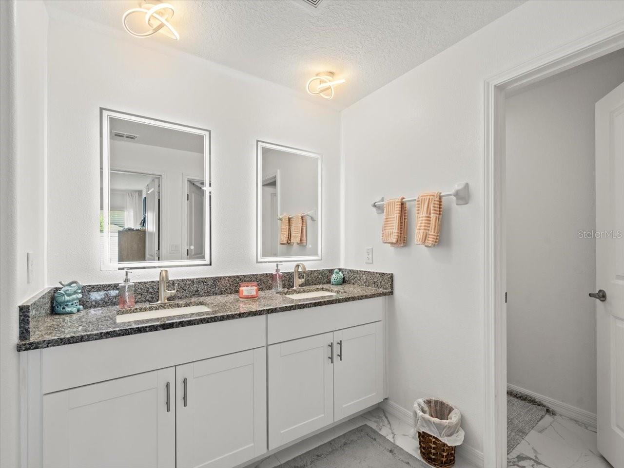 9617 BRANCHING SHIP TRCE, WESLEY CHAPEL, FL, 33545
