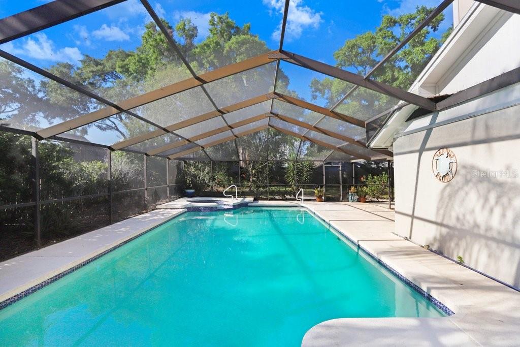 2558 ARBORWOOD DR, VALRICO, FL, 33596