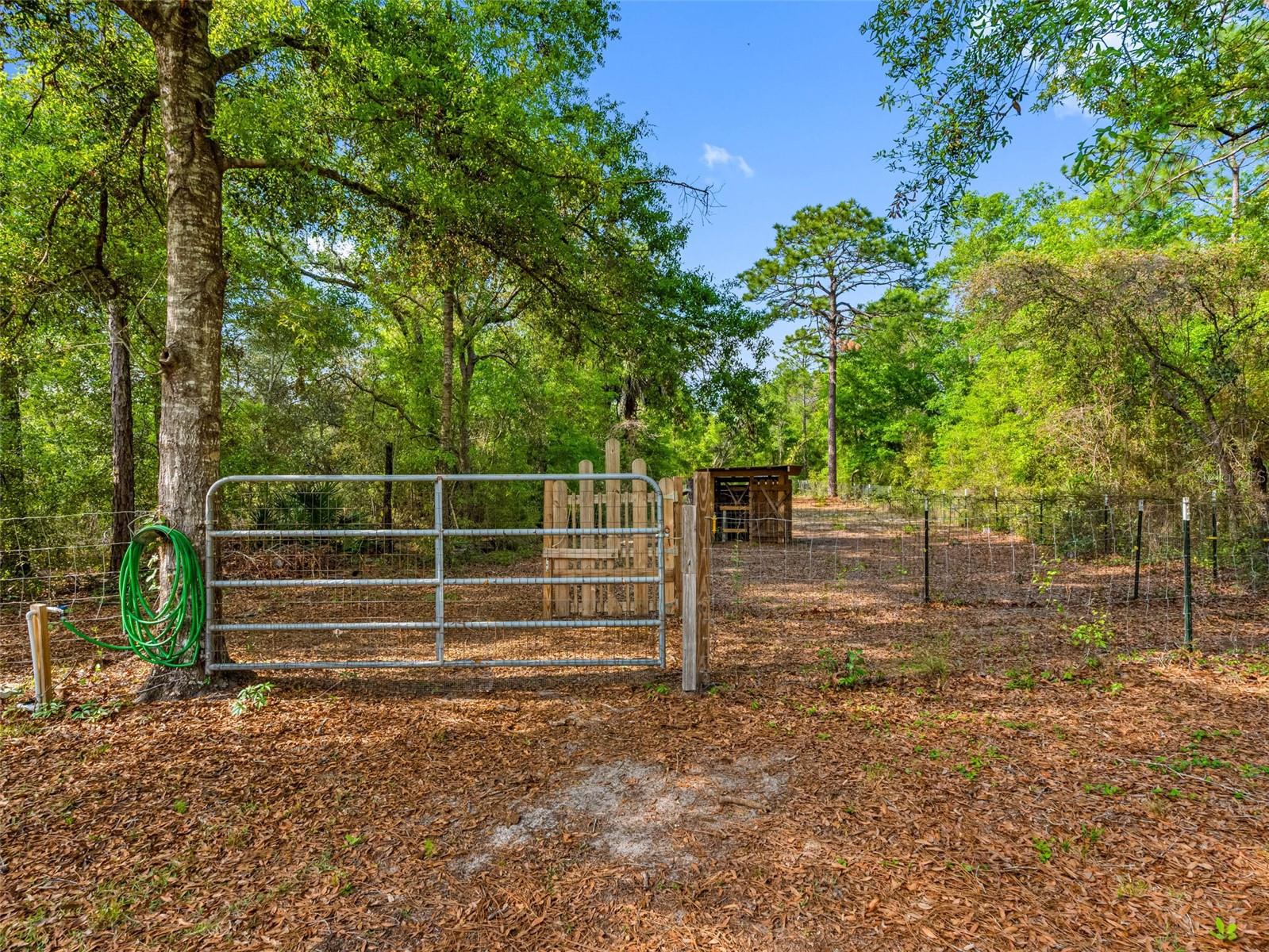 14181 SORREL ST, BROOKSVILLE, FL, 34614