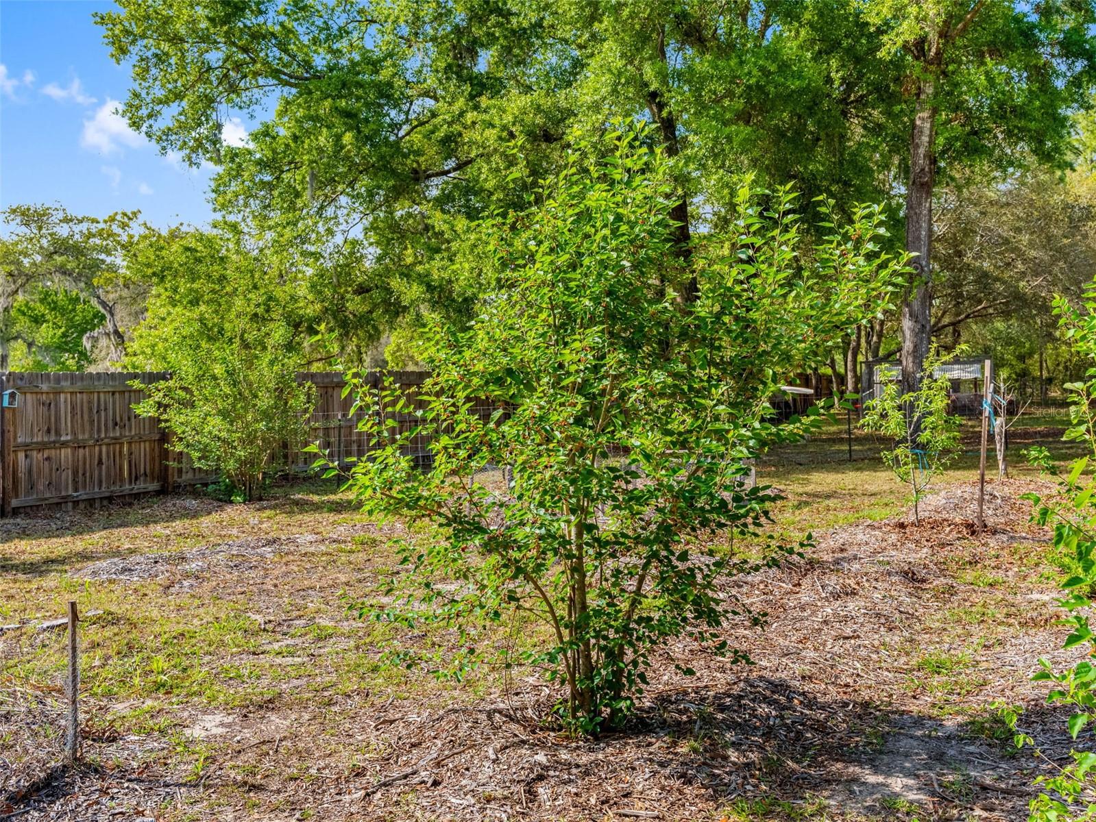 14181 SORREL ST, BROOKSVILLE, FL, 34614