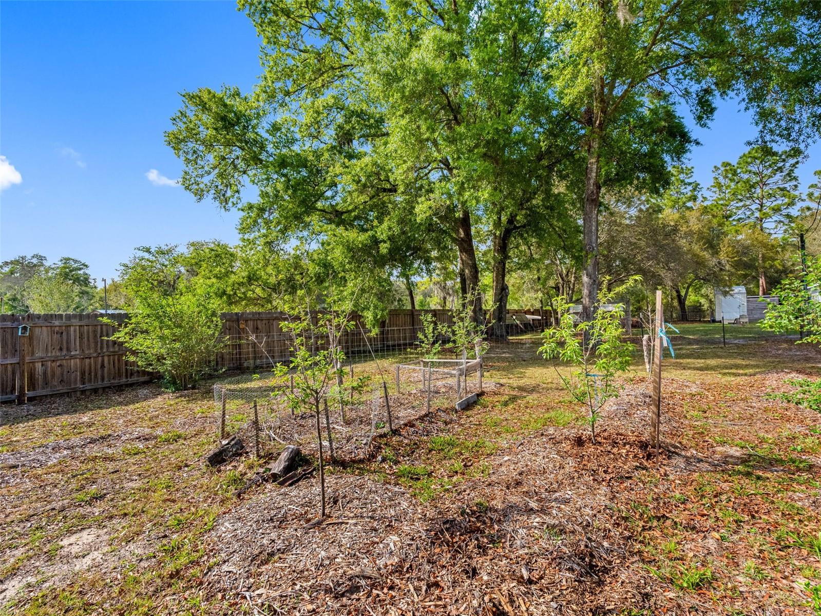 14181 SORREL ST, BROOKSVILLE, FL, 34614