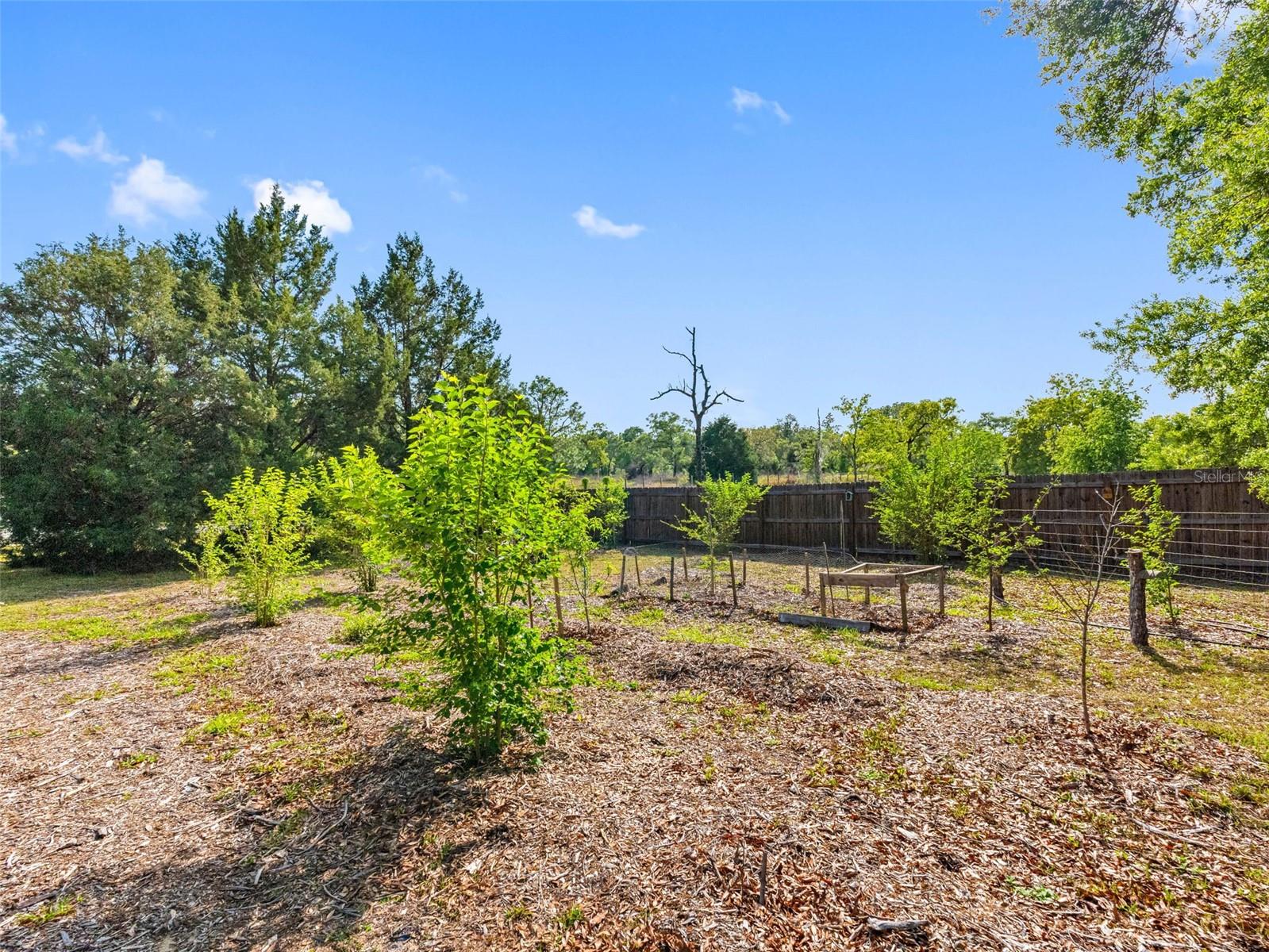 14181 SORREL ST, BROOKSVILLE, FL, 34614