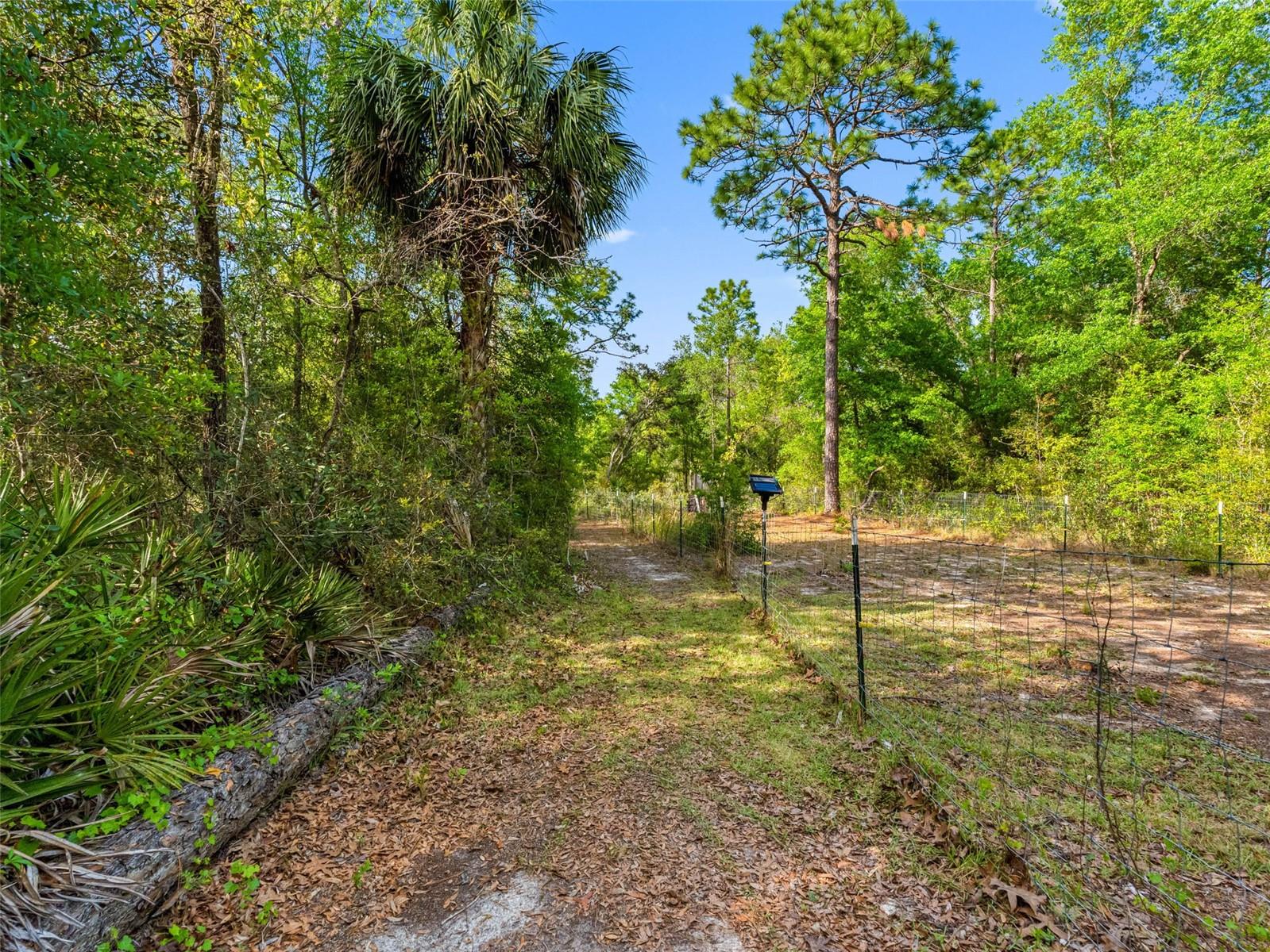 14181 SORREL ST, BROOKSVILLE, FL, 34614