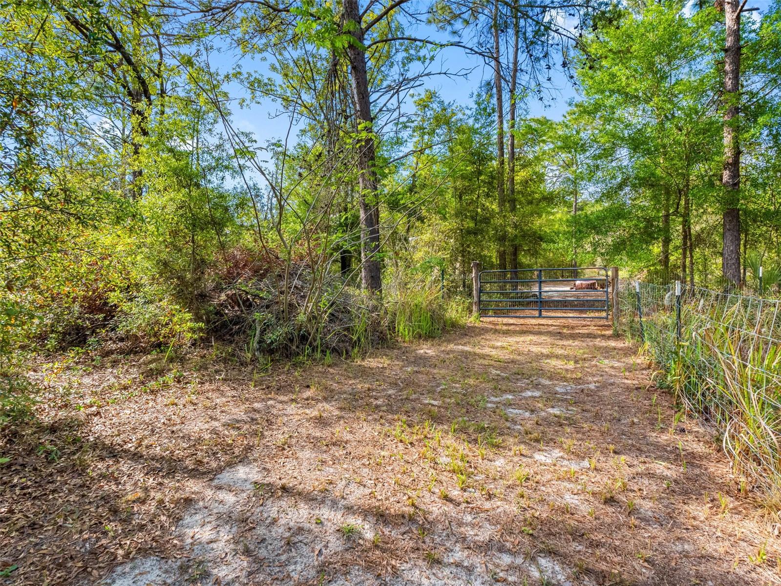 14181 SORREL ST, BROOKSVILLE, FL, 34614