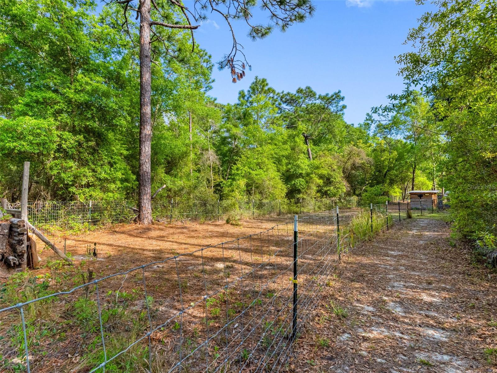 14181 SORREL ST, BROOKSVILLE, FL, 34614