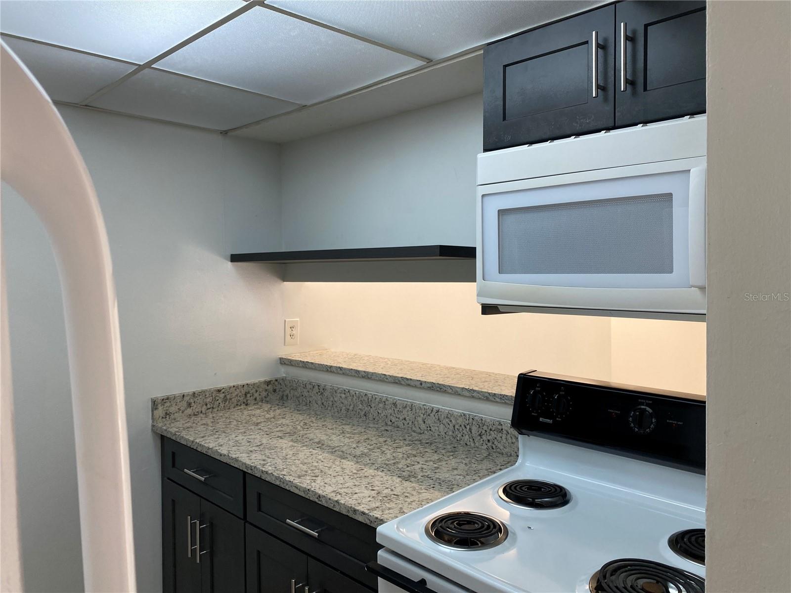 WEATHERLY YACHT CLUB CONDO AT LAKE, ORLANDO, FL, 32809