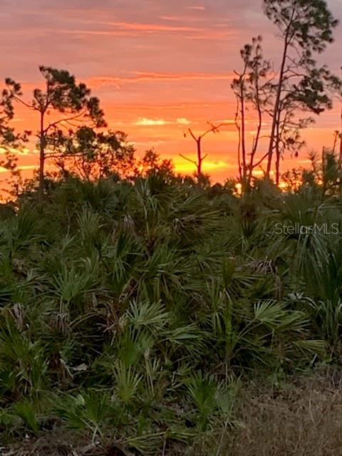 197 JADE ST, ROTONDA WEST, FL, 33947