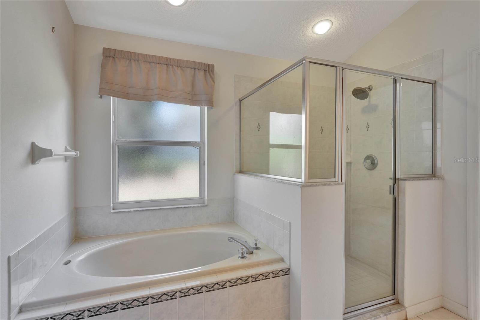 602 WESTVIEW DR, MINNEOLA, FL, 34715