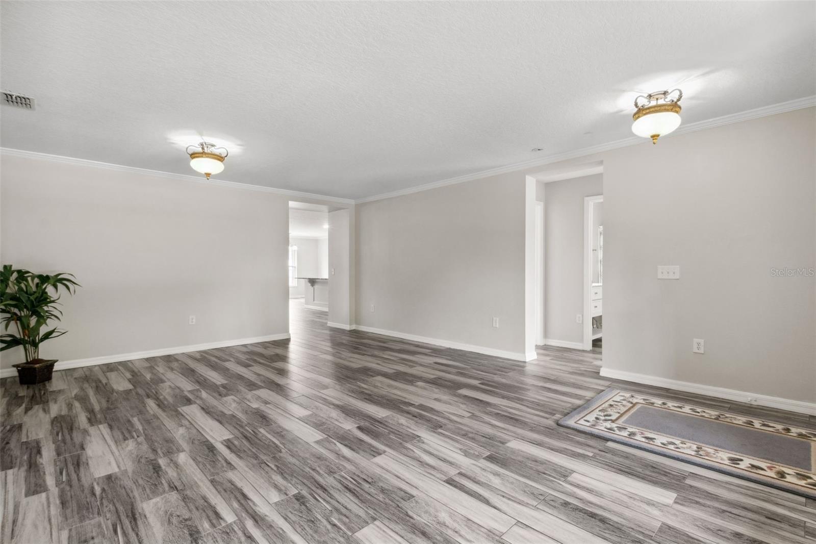 350 BLACK SPRINGS LN, WINTER GARDEN, FL, 34787