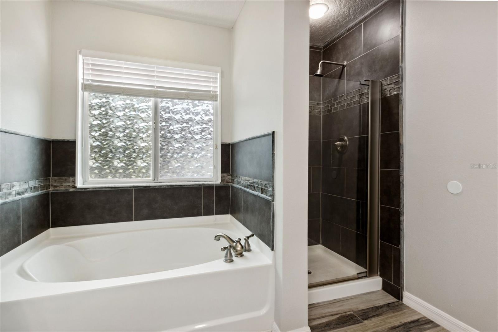 350 BLACK SPRINGS LN, WINTER GARDEN, FL, 34787