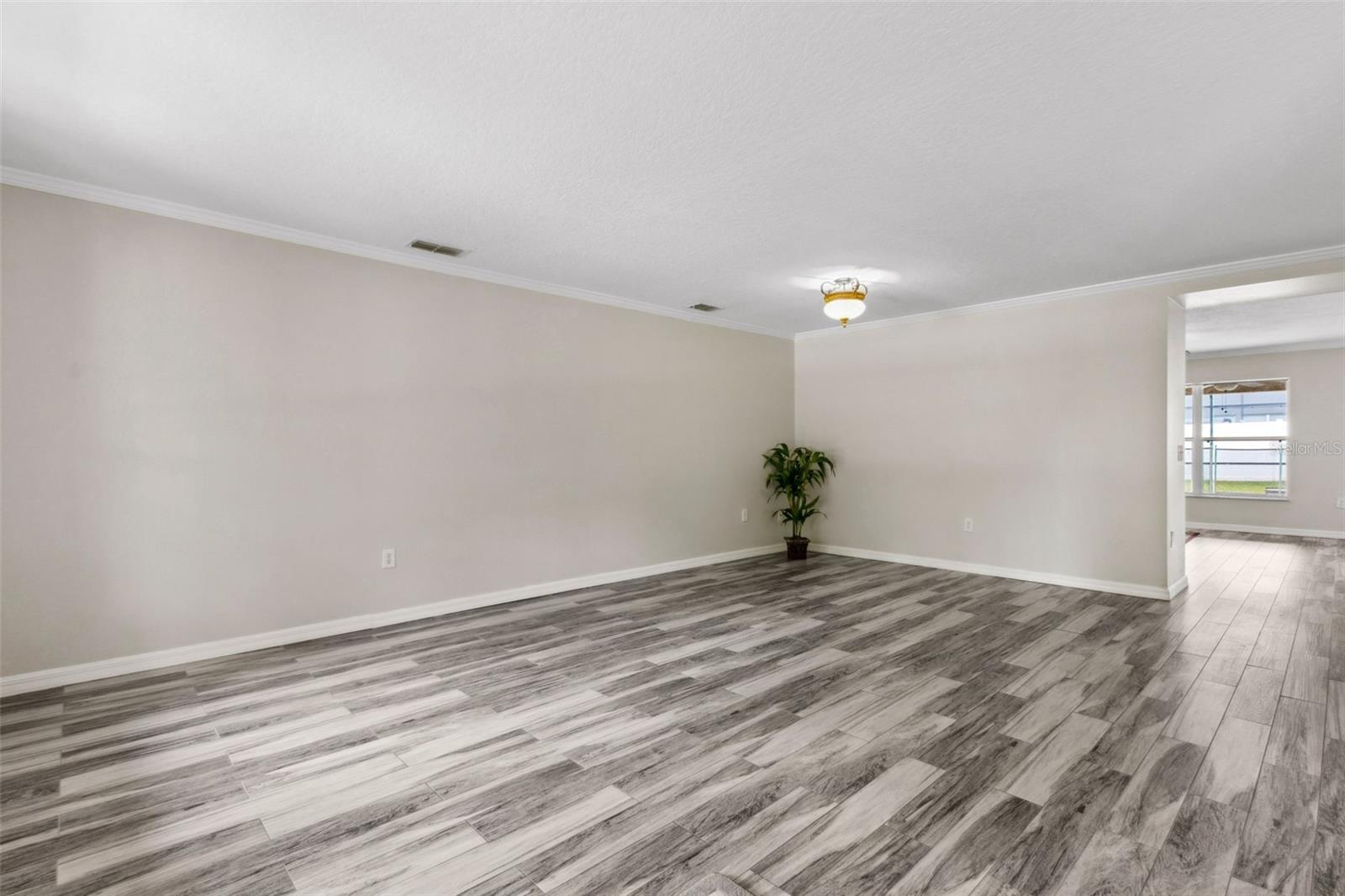 350 BLACK SPRINGS LN, WINTER GARDEN, FL, 34787