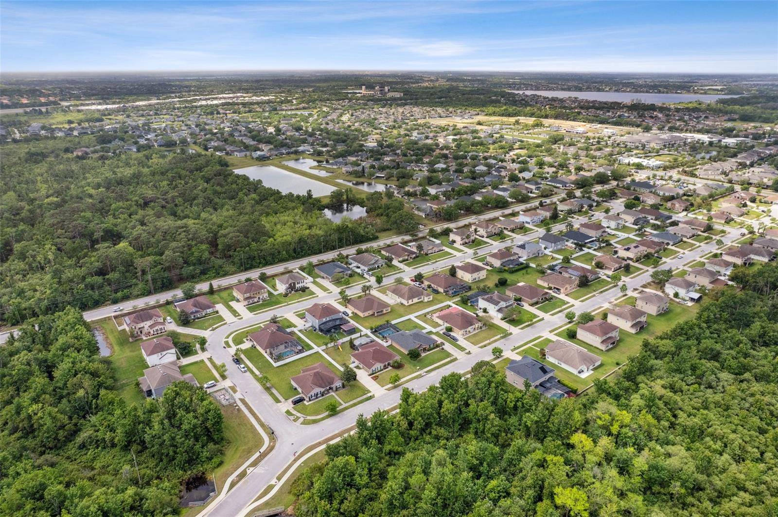 350 BLACK SPRINGS LN, WINTER GARDEN, FL, 34787