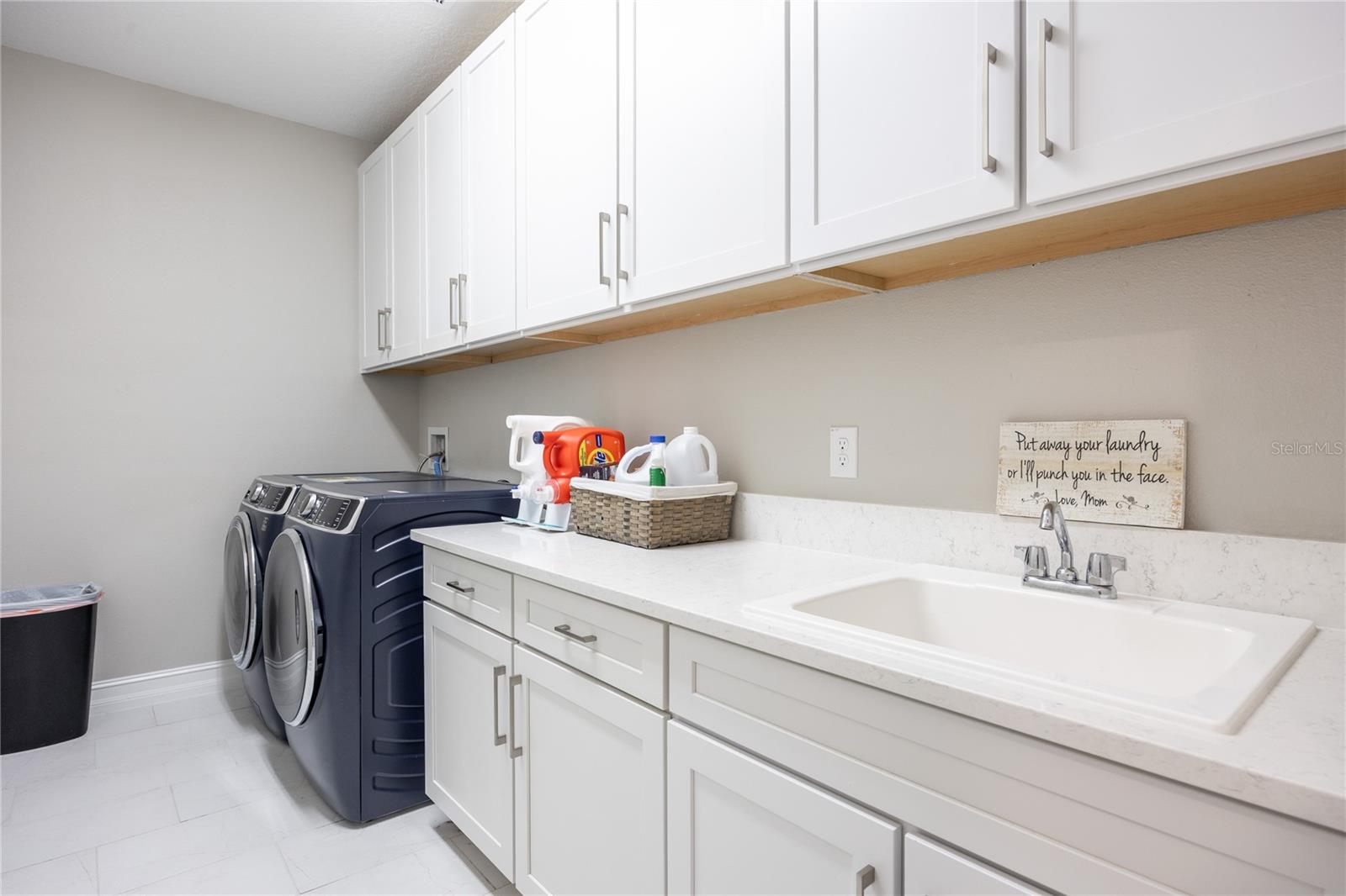 29675 PICANA LN, WESLEY CHAPEL, FL, 33543