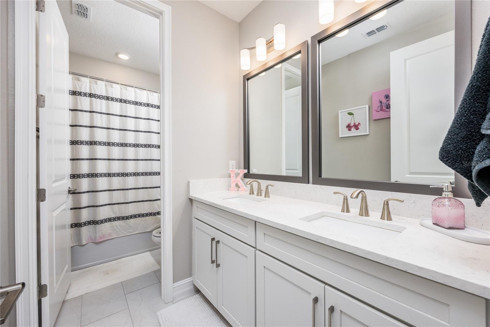 29675 PICANA LN, WESLEY CHAPEL, FL, 33543
