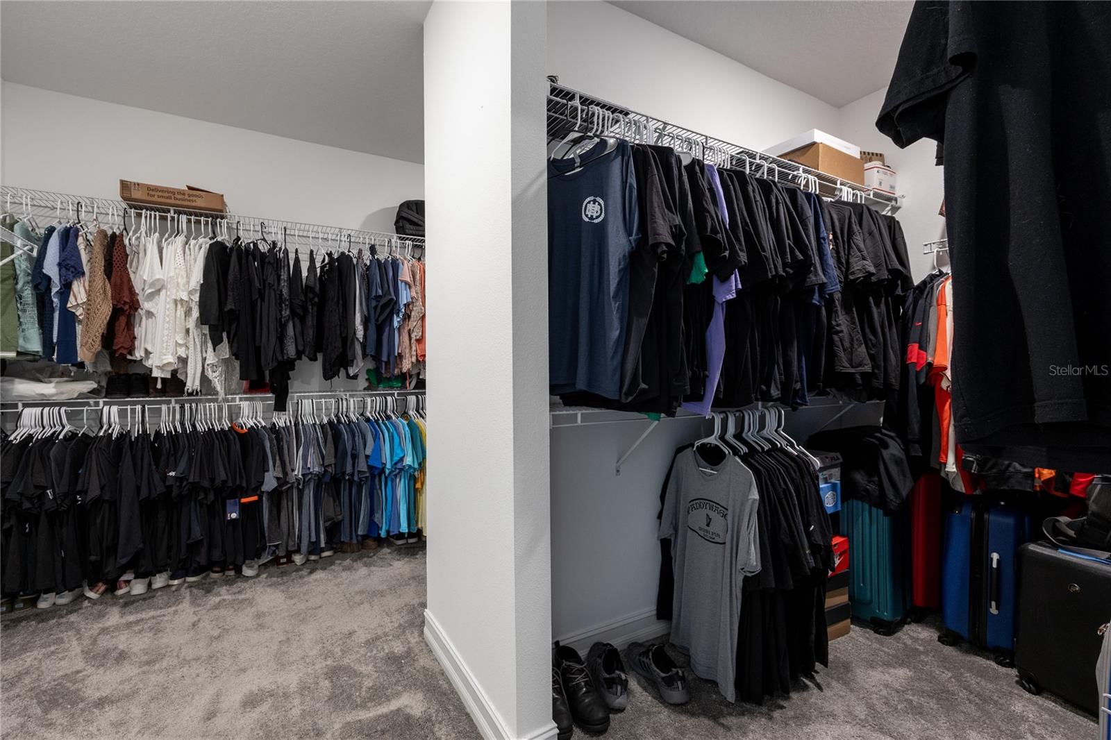 29675 PICANA LN, WESLEY CHAPEL, FL, 33543