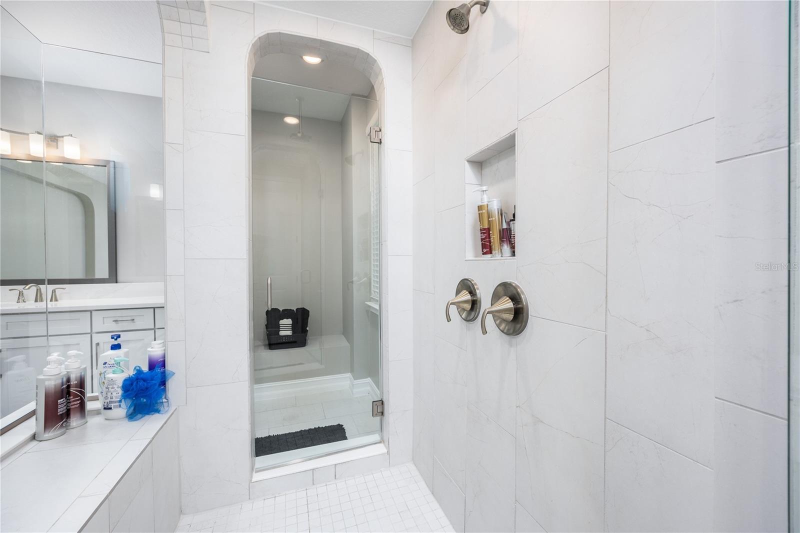29675 PICANA LN, WESLEY CHAPEL, FL, 33543