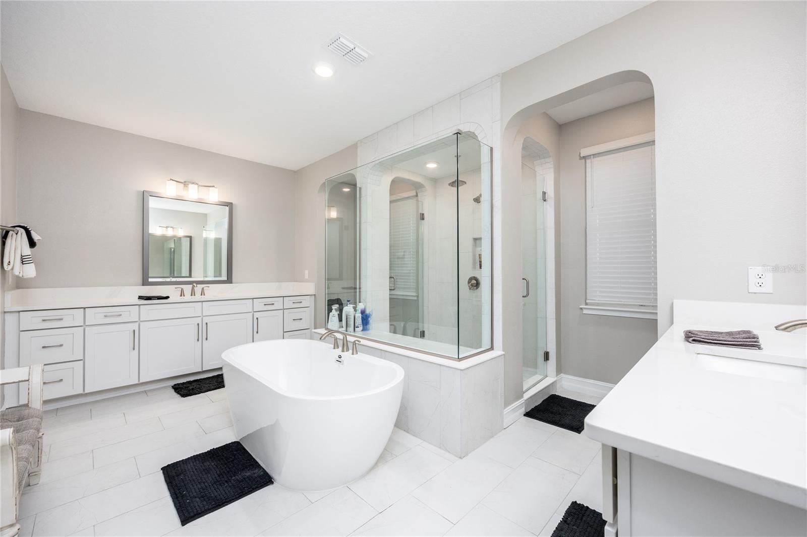 29675 PICANA LN, WESLEY CHAPEL, FL, 33543