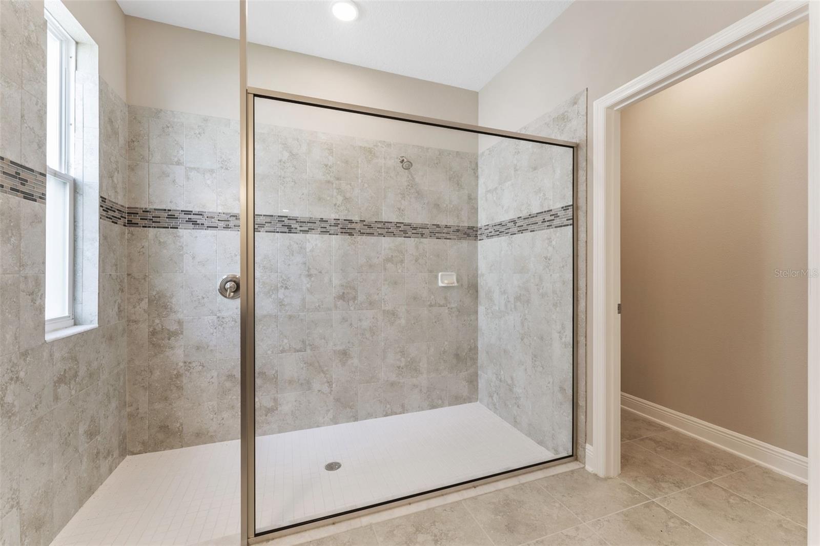 32242 SAPNA CHIME DR, WESLEY CHAPEL, FL, 33545