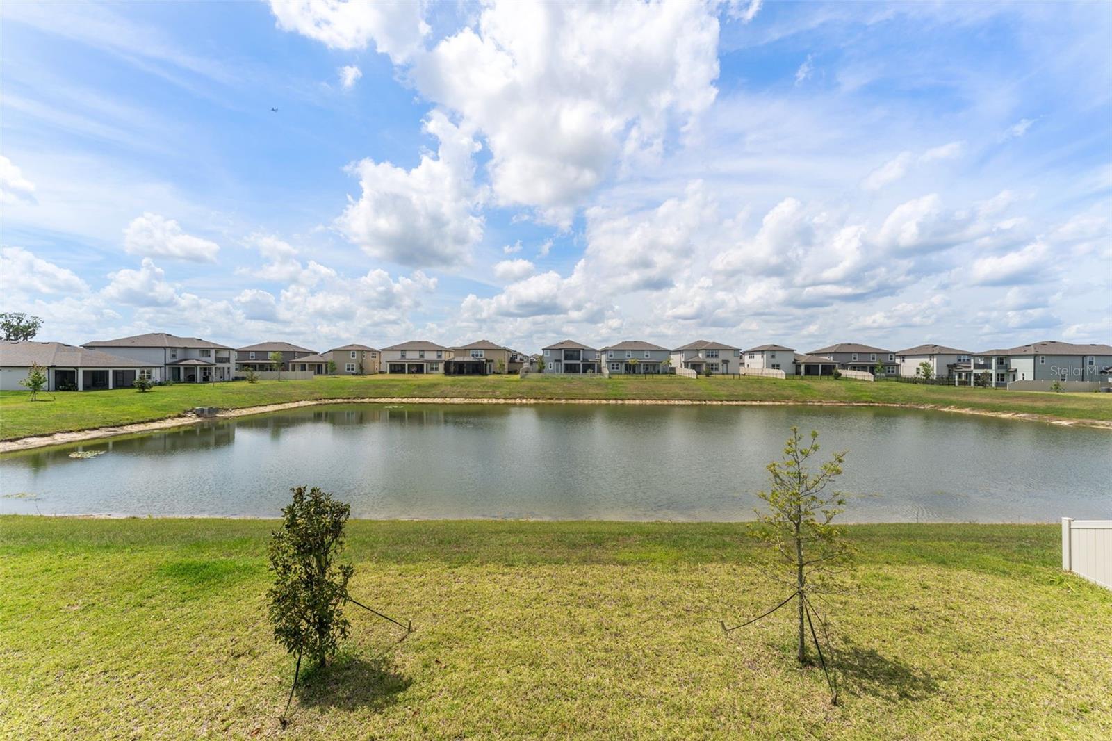 32242 SAPNA CHIME DR, WESLEY CHAPEL, FL, 33545