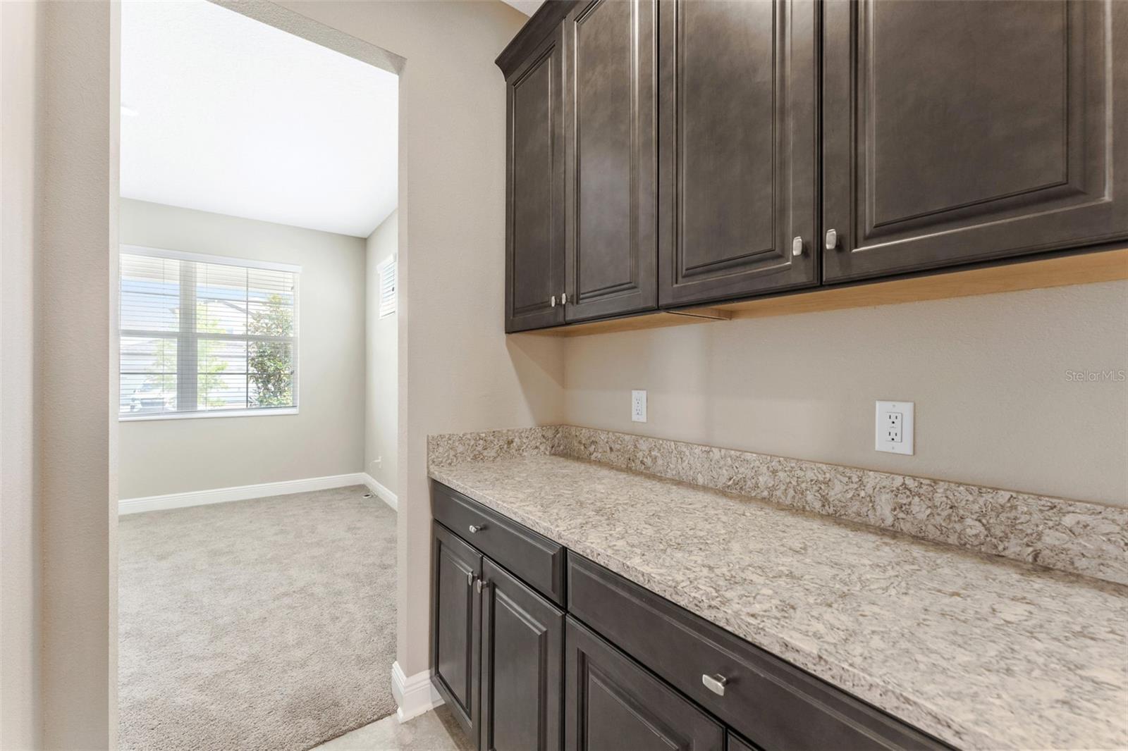 32242 SAPNA CHIME DR, WESLEY CHAPEL, FL, 33545