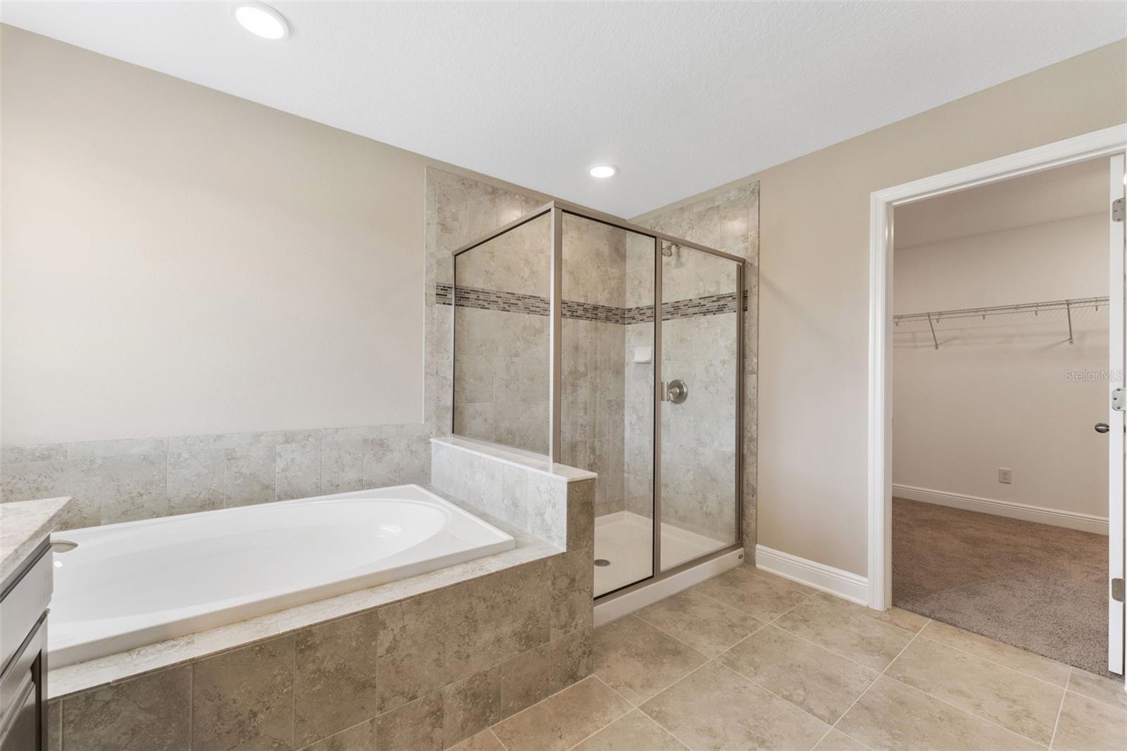 32242 SAPNA CHIME DR, WESLEY CHAPEL, FL, 33545